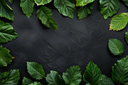 99 Frames of green leaves, a Nature Photo by Handmadefont (Thumbnail 92 of 100)