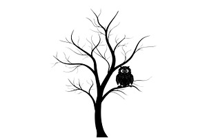 Owl in a tree., an Illustration by Tanysl