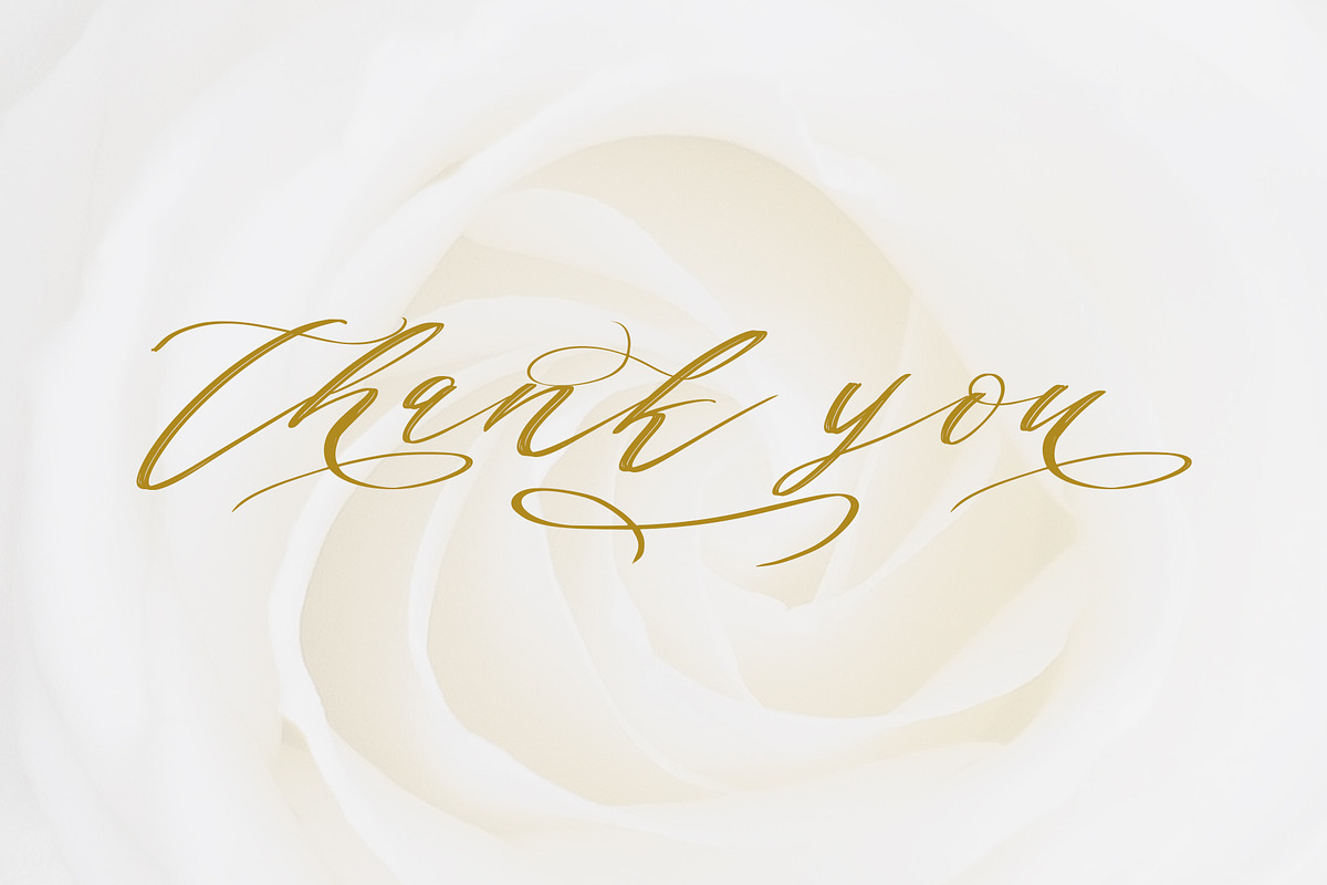Authumn Sofia | Calligraphy Font, a Script Font by Analogous (Photo 15 of 16)