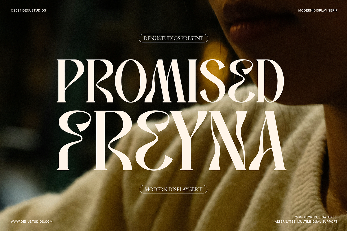Promised Freyna Modern Display Serif, a Serif Font by Denustudios (Photo 1 of 13)