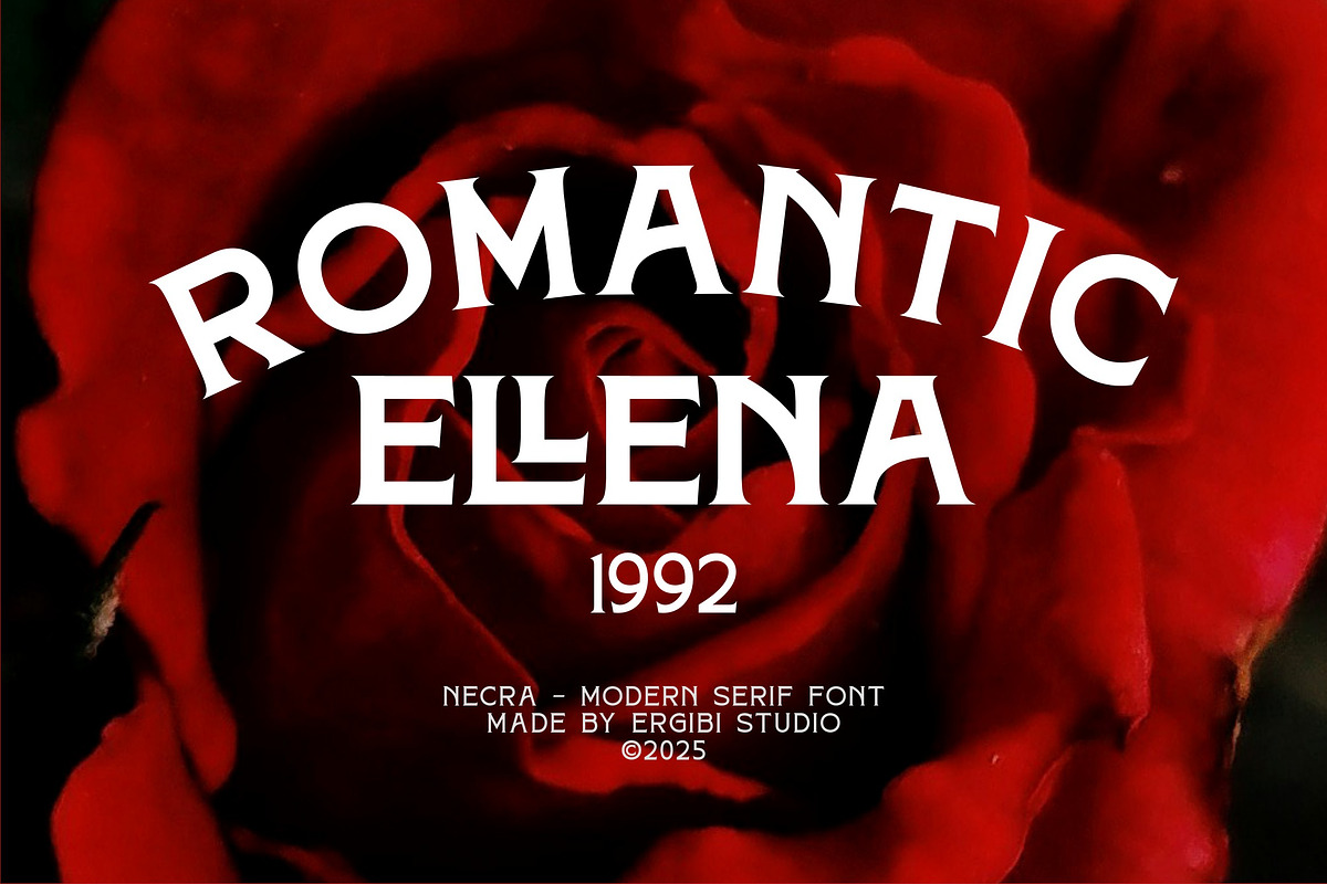 Necra - Modern Serif, a Serif Font by ErgibiStudio (Photo 7 of 12)