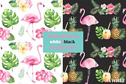 Tropical Pattern Collection, an Illustration by Vivitta (Thumbnail 2 of 12)