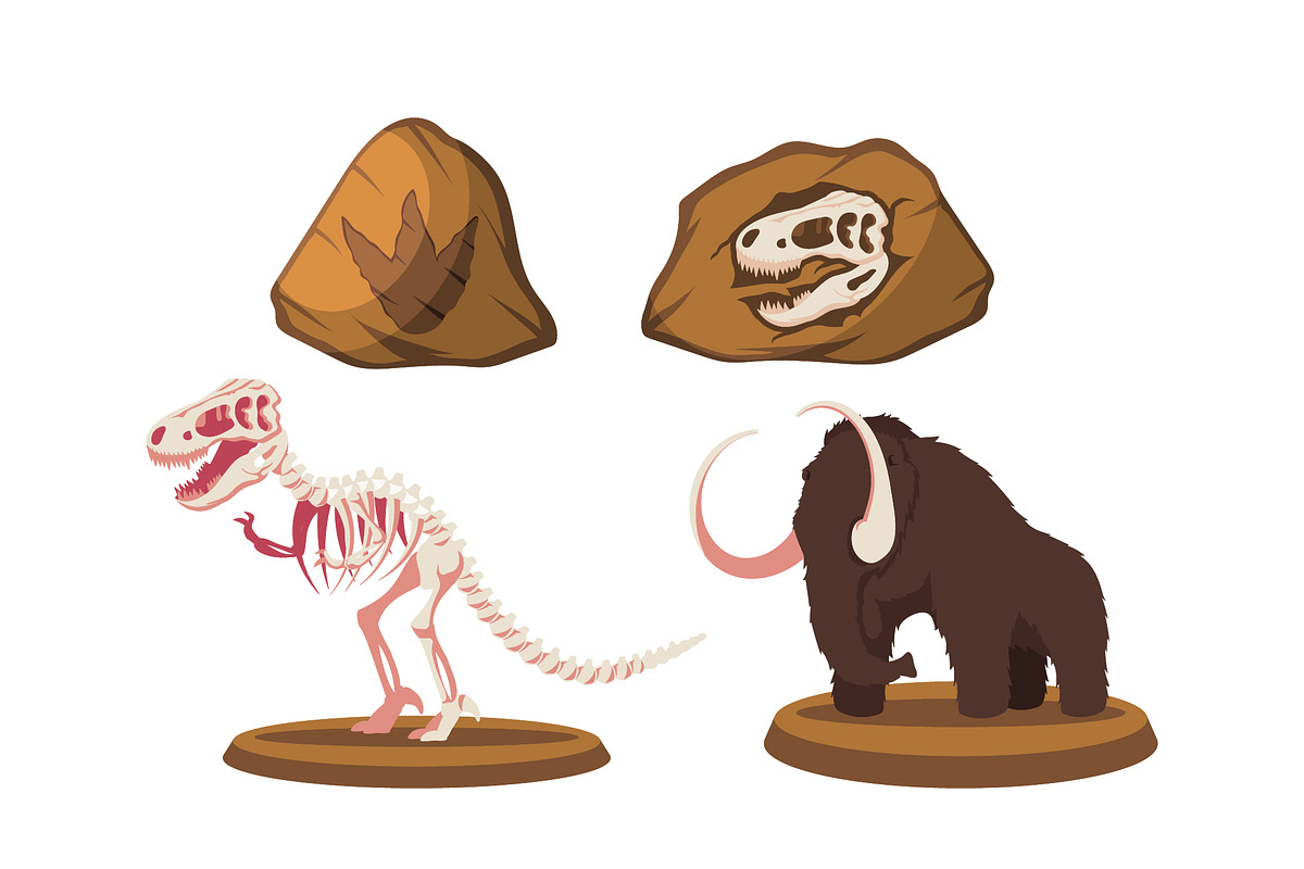 Museum Artifacts Fossils Icons Set preview 3