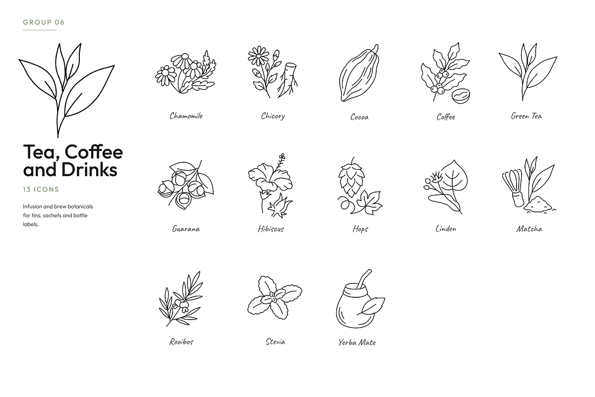 180 Botanical Ingredient Line Icons, an Outline Icon by Ilia Design (Photo 7 of 13)