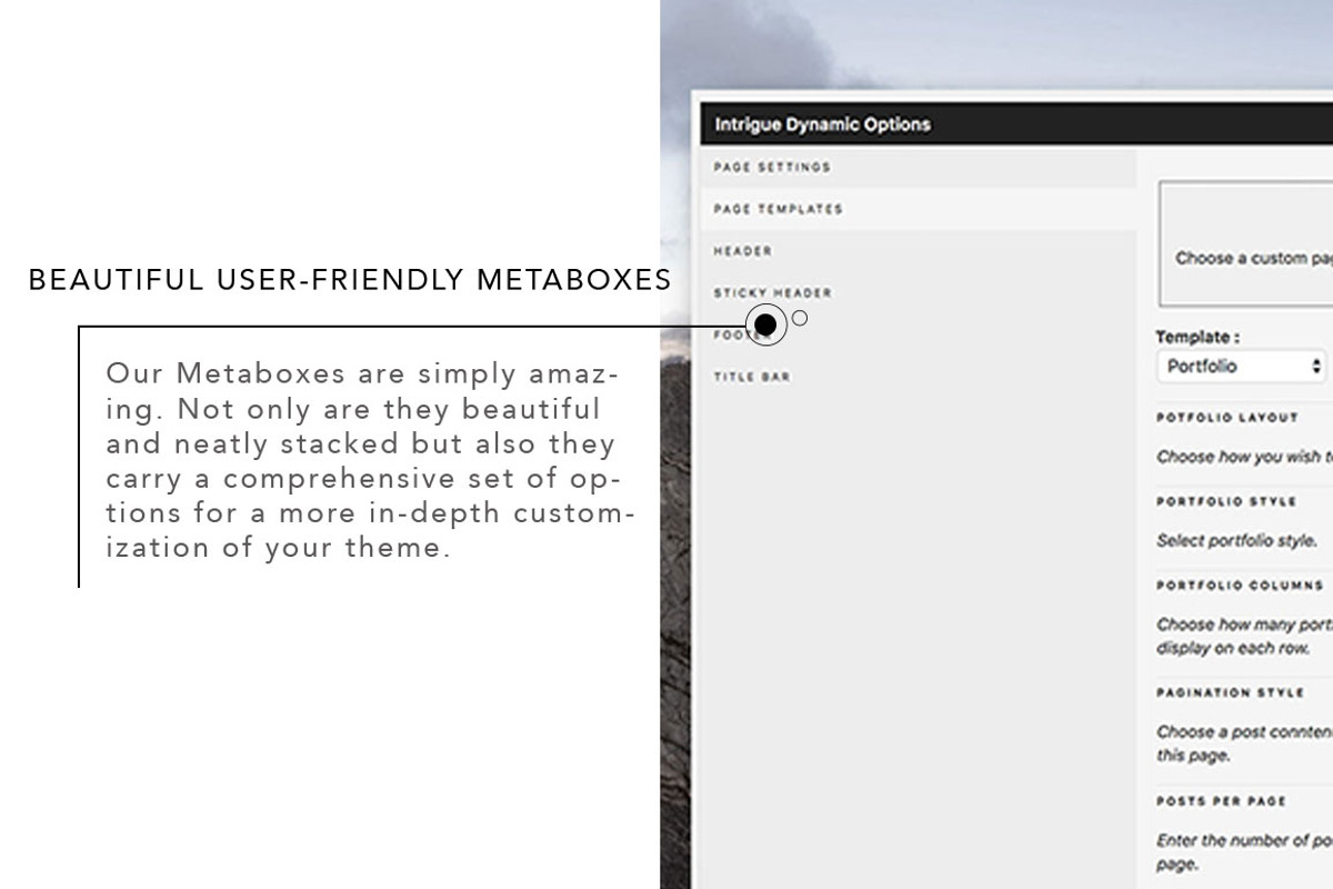 Intrigue Wordpress Theme, a WordPress Template by Intrigue (Photo 8 of 9)