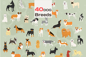 40 dog breeds vector illustration