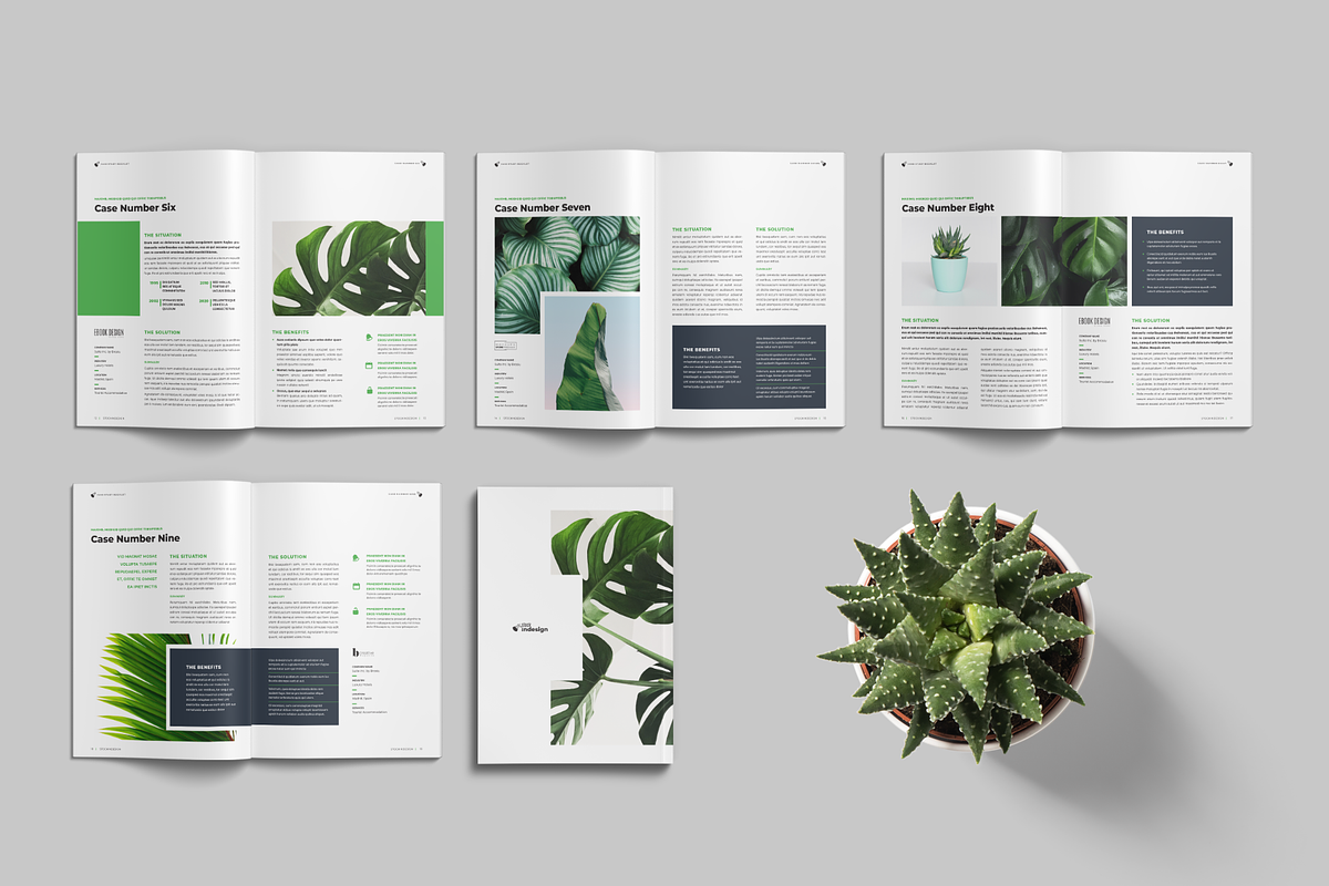Case Study Booklet, a Templates & Theme by StockInDesign (Photo 10 of 10)