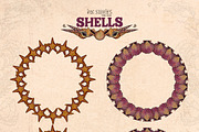 Shells, an Animal Illustration by Ink Stories (Thumbnail 9 of 21)