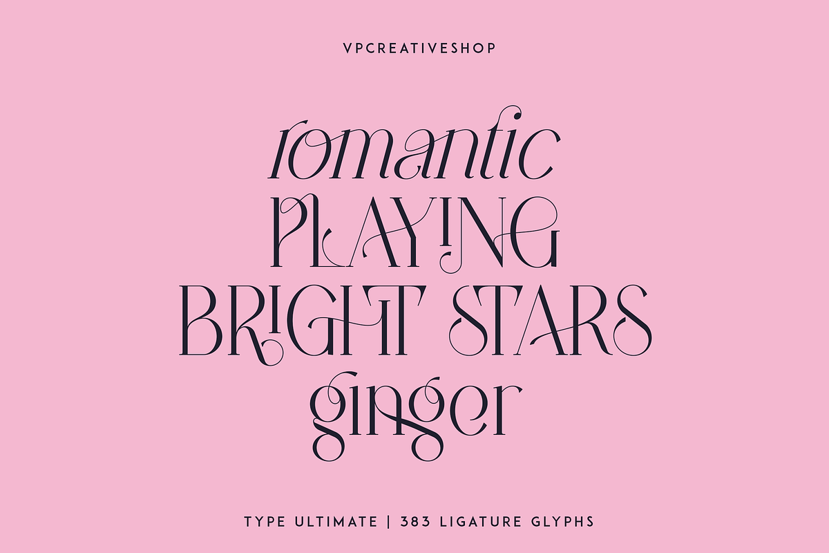 Type Ultimate - serif logo font, a Serif Font by VP Fonts (Photo 20 of 24)