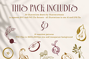 Autumn Harvestables-fruits & berries, a Food Illustration by IllustratorAnnie (Thumbnail 3 of 10)