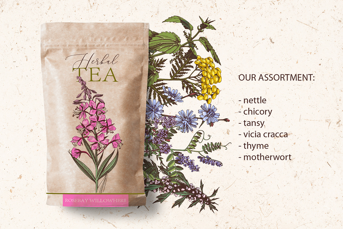 Hand drawn medicinal herbs, a Healthcare Illustration by handsketched (Photo 9 of 14)