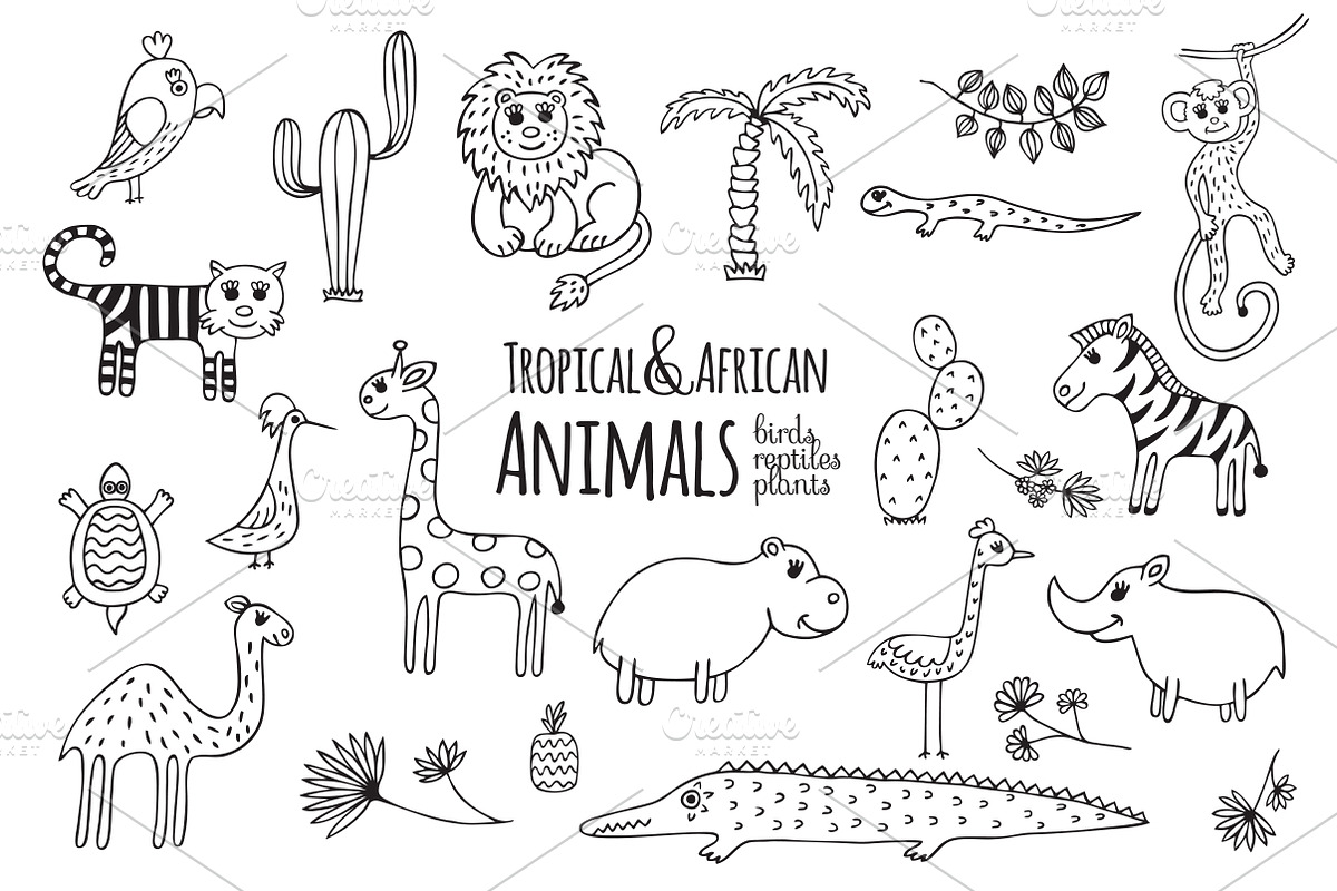 Set tropical & African animals, an Animal Illustration by EvgeniaV (Photo 2 of 5)