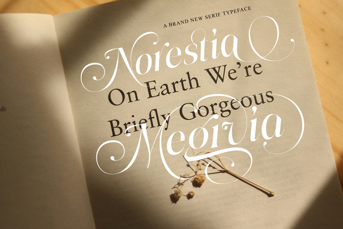 Megivia Calligraphyc Serif | 6 Fonts, a Serif Font by IM Studio (Photo 2 of 12)