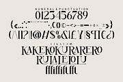 Megumi, a Serif Font by Kenrichi (Thumbnail 5 of 10)