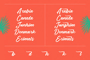 Balista Modern Brush Font, a Script Font by Letterena Studios Script (Thumbnail 3 of 15)