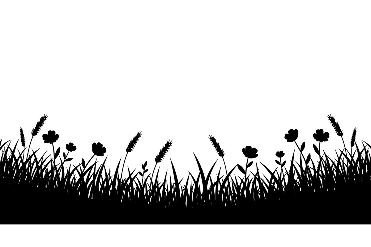 Floral Grass Border Silhouette Bundl, an Illustration by Amazin_art (Photo 42 of 51)