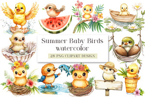 Summer Baby Birds Watercolor Clipart, an Animal Illustration by DreamArtGraphic