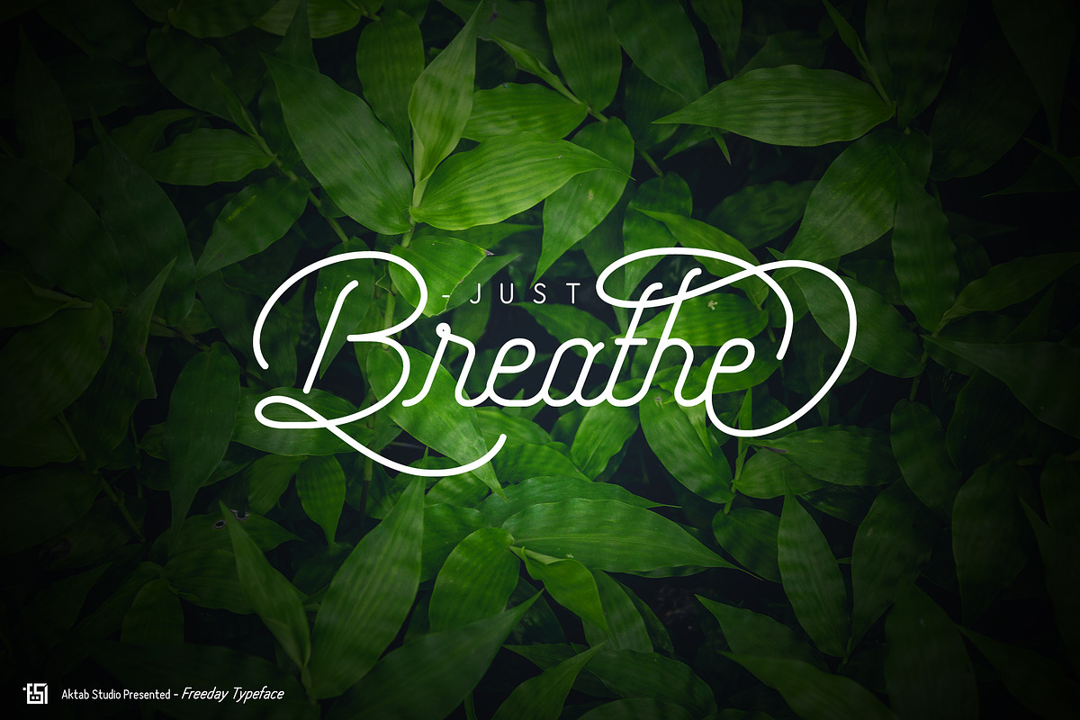 Freeday Script & Sans Font, a Script Font by Aktab Studio (Photo 12 of 15)