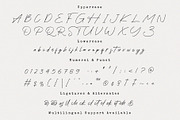Pearl Sand - Handwritten Brush Font, a Script Font by Prioritype Co (Thumbnail 10 of 10)
