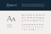 Bollent - Modern And Luxury Typeface, a Serif Font by Fype Co. (Thumbnail 8 of 10)