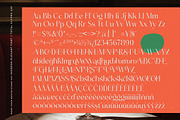 Asheya Modern Elegant Serif Font, a Serif Font by timelesstype.co (Thumbnail 19 of 20)