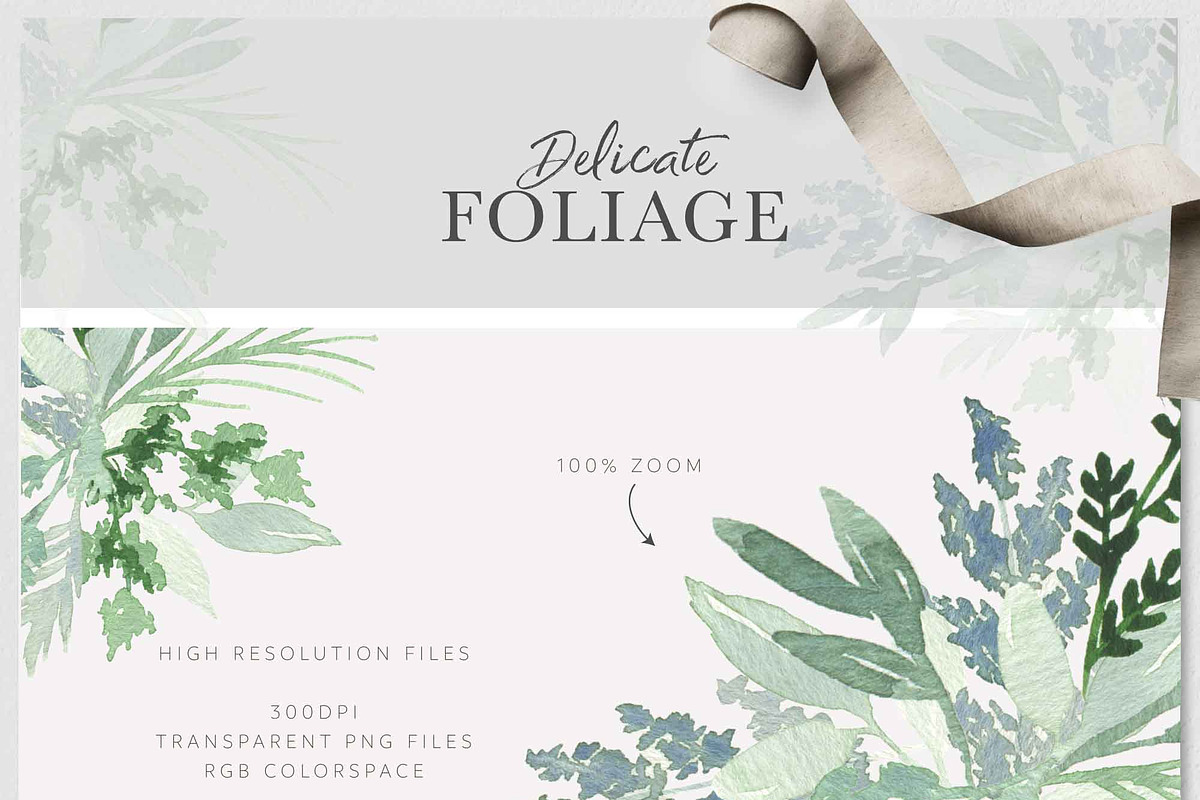 DELICATE FOLIAGE leaves greenery, an Illustration by Momo Studio (Photo 5 of 15)