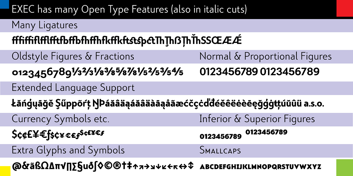 Exec Demiserif, a Serif Font by Wiescher-Design (Photo 10 of 10)