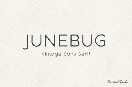 Junebug, a Sans Serif Font by Bruised Goods