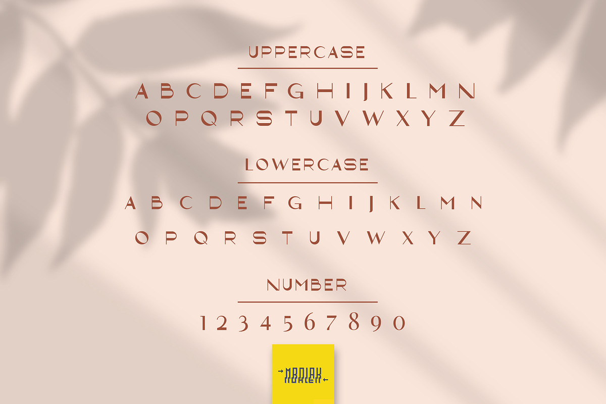 Capadocia sans - Modern & Elegant, a Sans Serif Font by Izalsye (Photo 4 of 5)