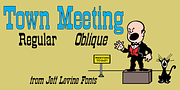 Town Meeting JNL, a Slab Serif Font by Jeff Levine Fonts (Thumbnail 1 of 5)