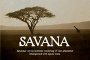 Organic Grain - Handwritten Serif, a Serif Font by Bale Type (Thumbnail 3 of 9)