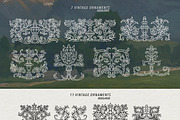 Frames & Ornaments. Vintage Pack, a Decorative Illustration by heyXeni (Thumbnail 7 of 7)