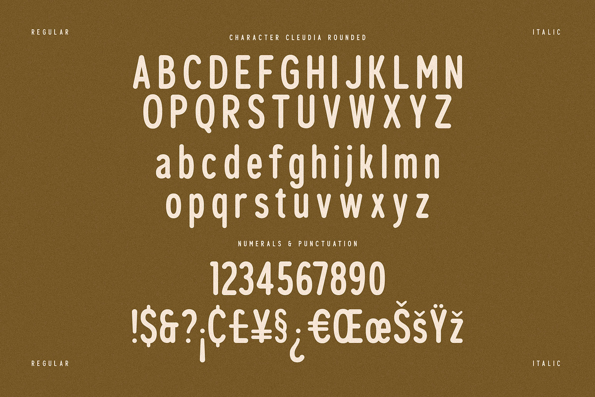 Cleudia Duo Font Sans Serif, a Sans Serif Font by Storytype Studio (Photo 13 of 15)