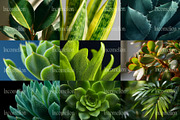 160 Plant Leaves Stock Photos, a Nature Photo by Incomelion (Thumbnail 10 of 15)