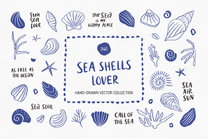 Sea Shells Whimsical Collection