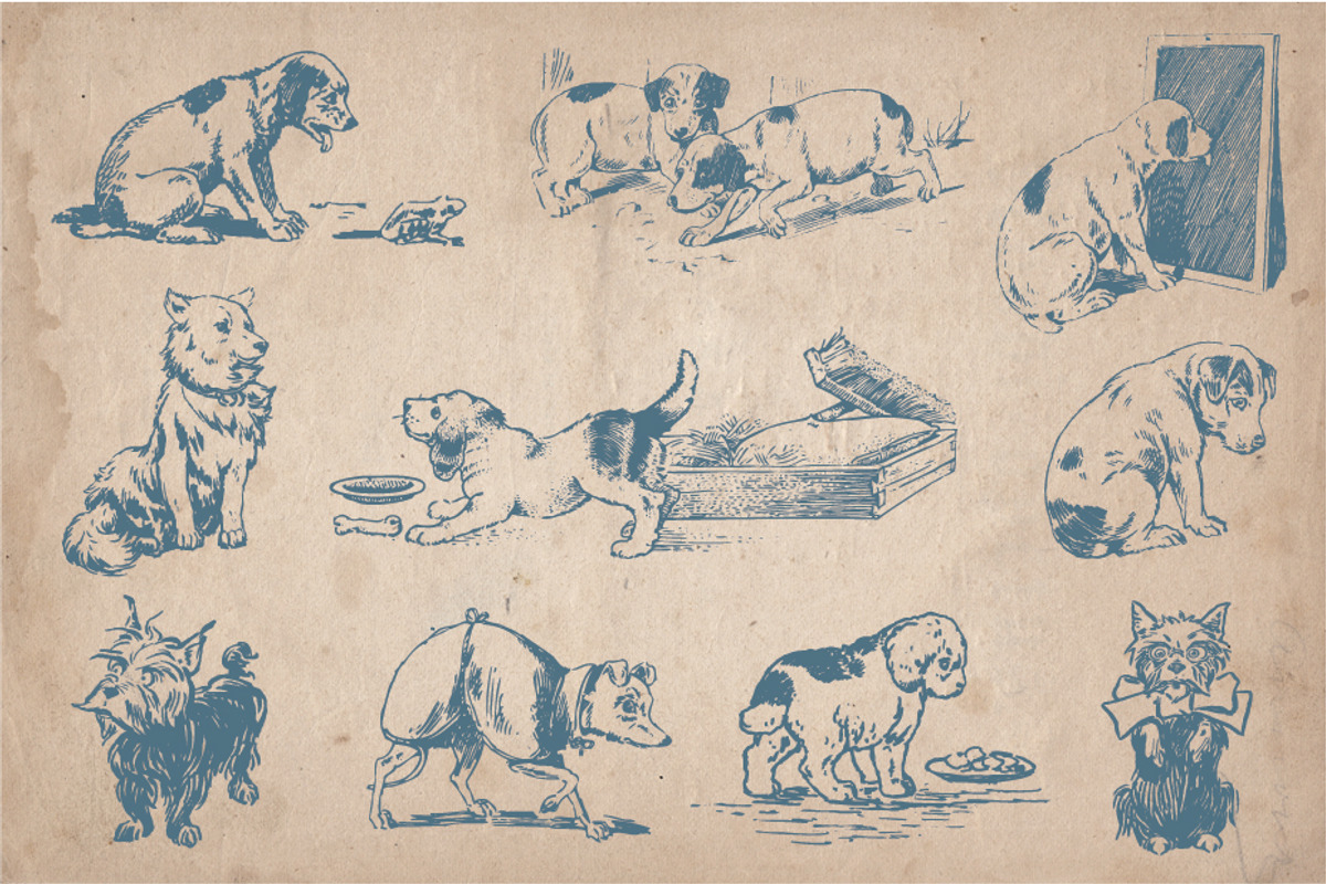 32 Hand Drawn Dogs and Puppies, an Animal Illustration by Mr Vintage (Photo 2 of 5)