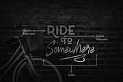 Blombanc Font Duo, a Serif Font by Vacatype Co. (Thumbnail 4 of 5)