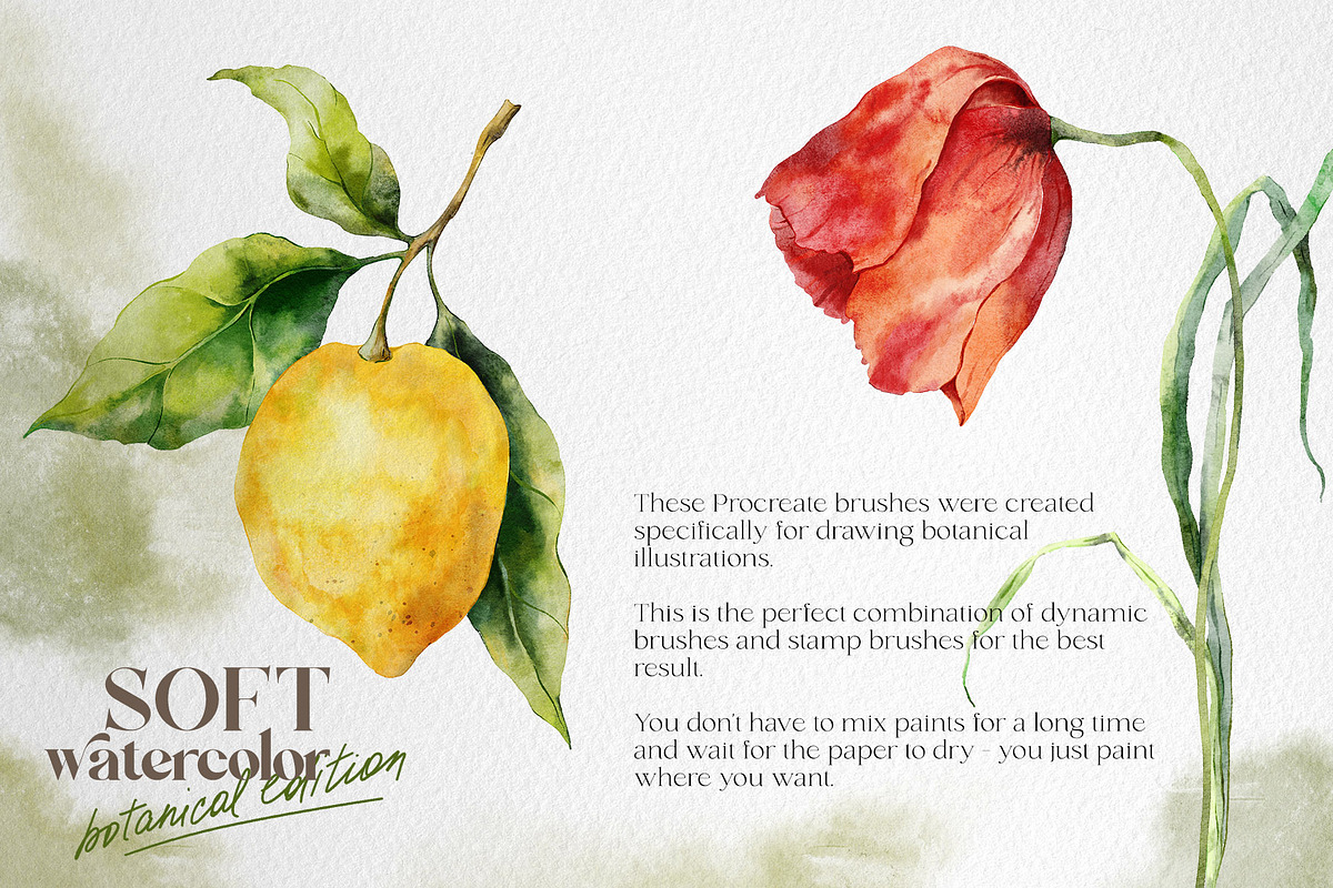 Watercolor Procreate brushes Botany, a Brush Add-On by Yuliya Derbisheva (Photo 3 of 13)