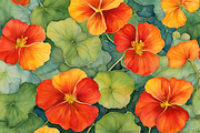 Nasturtium Watercolor Background, a Background Graphic by Karliefie (Thumbnail 3 of 3)