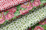 Watercolor protea flower set, an Illustration by Artmanata (Thumbnail 11 of 18)