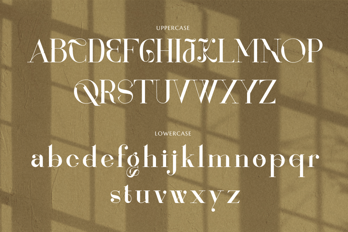 Renaisans Sans Modern Serif, a Serif Font by Creatype Studio (Photo 6 of 10)