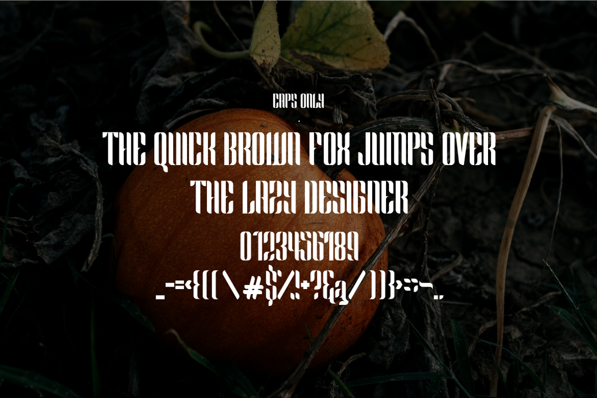 Carhel De Black Font, a Sans Serif Font by ponuppo (Photo 4 of 7)