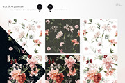Flowers collection, floral clipart, an Illustration by ollalya (Thumbnail 8 of 14)