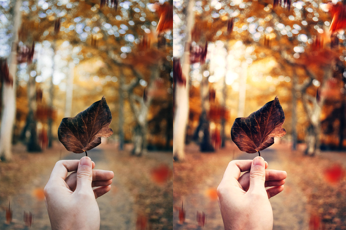 Fall - Autmun Photoshop Actions, an Action Add-On by Bato (Photo 2 of 10)