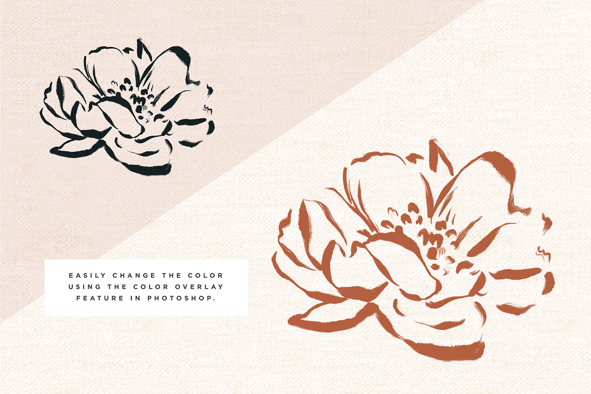 La Fleur - Modern Botanicals, an Illustration by Opal Creative (Photo 8 of 9)