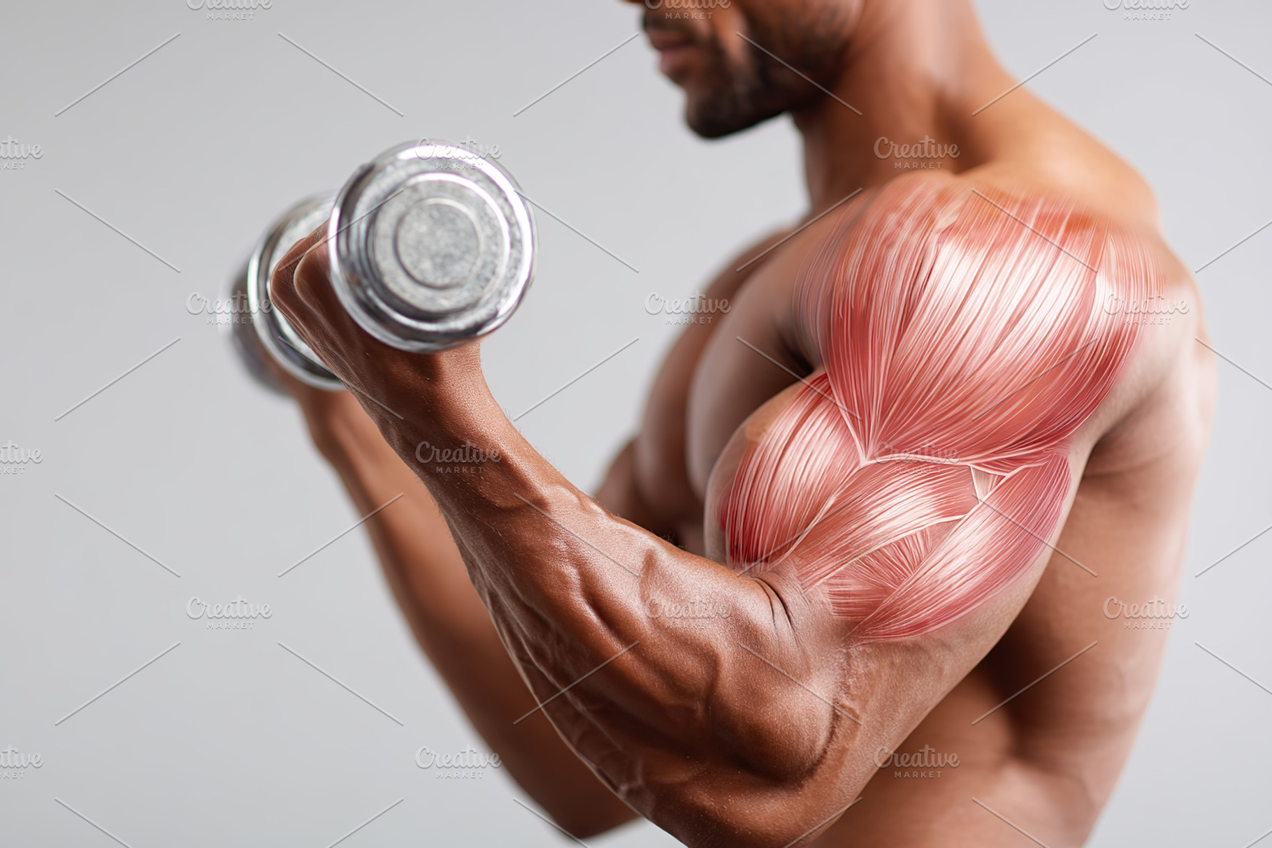 Muscular man engages in weightlifting exercise focusing on arm strength develop, a Sports & Recreation Photo by AlyaAnd