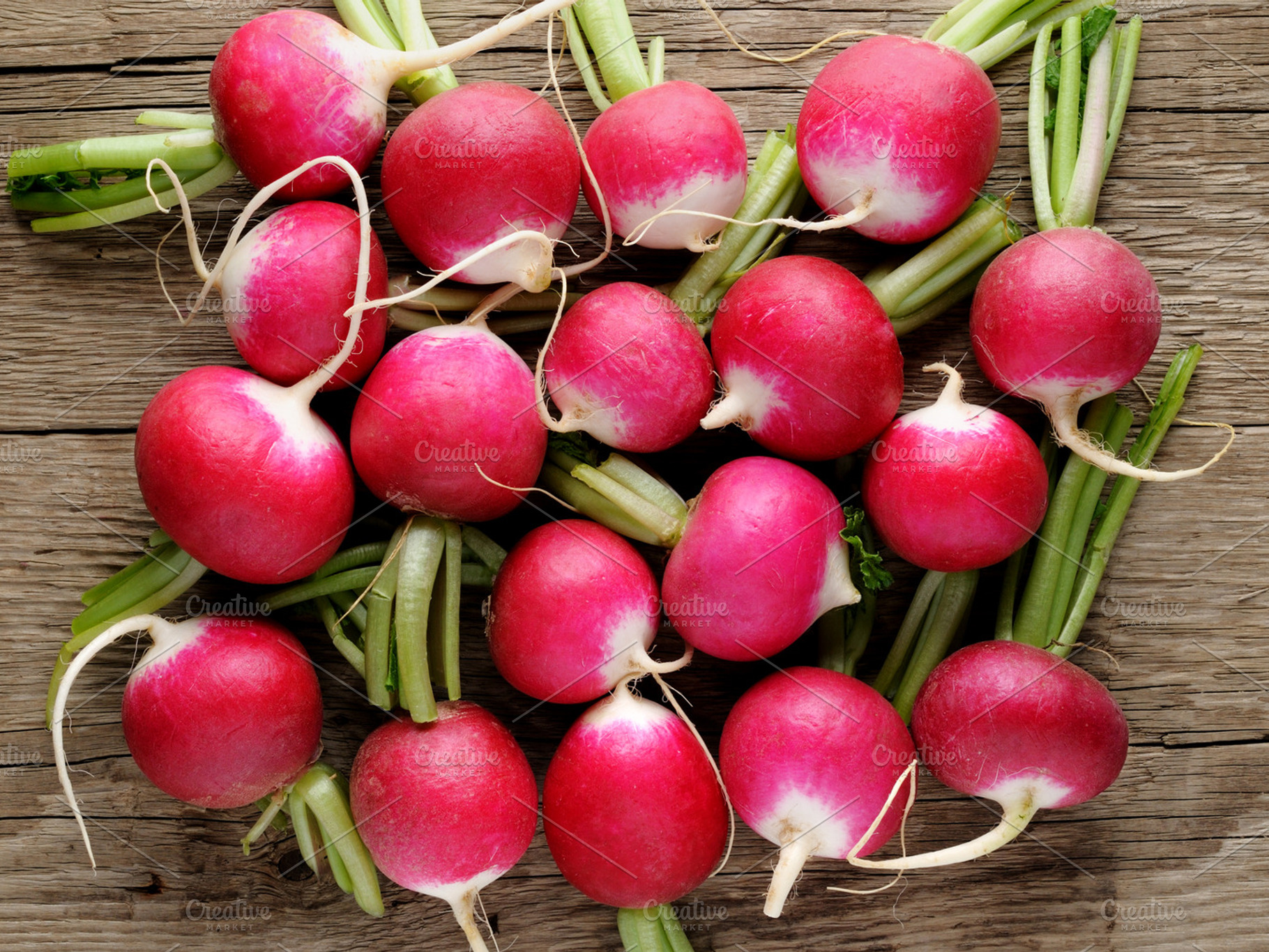 Radishes stock photo containing food and fresh