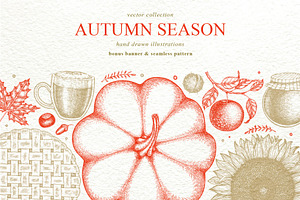 Autumn Season Illustrations