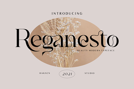 Reganesto - Modern Serif Typeface