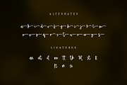 Amstrong - Handwritten Brush Script, a Handwritten Font by Kincrev Studio (Thumbnail 5 of 7)
